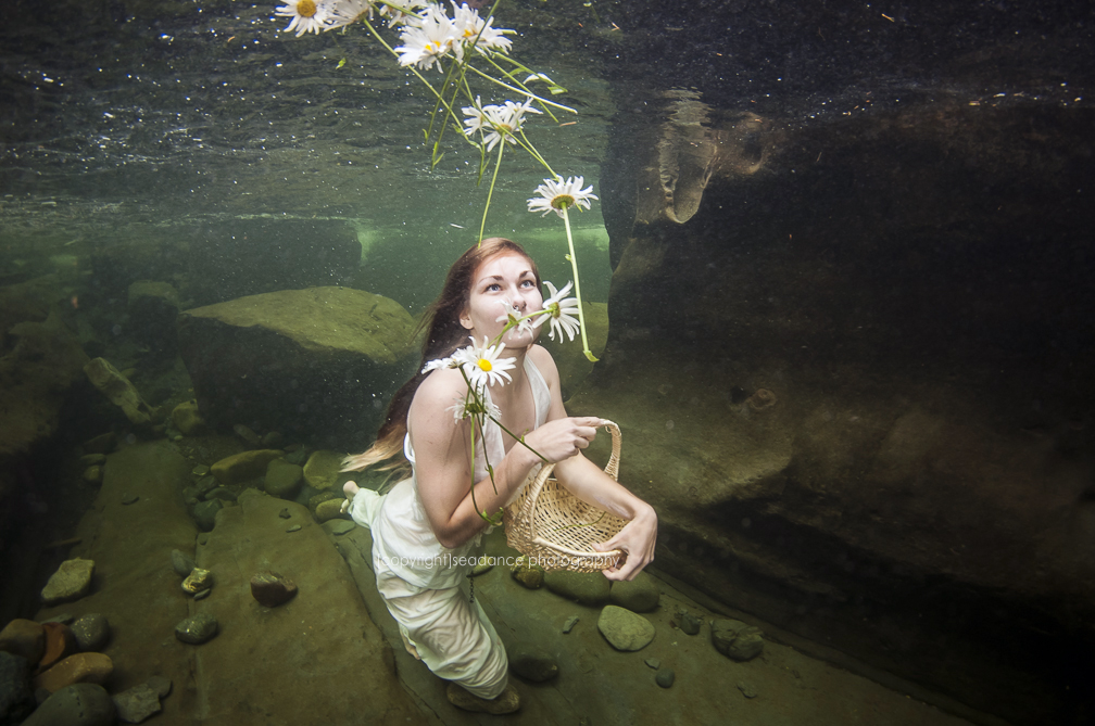 © Lisa Graham | Seadance Photography