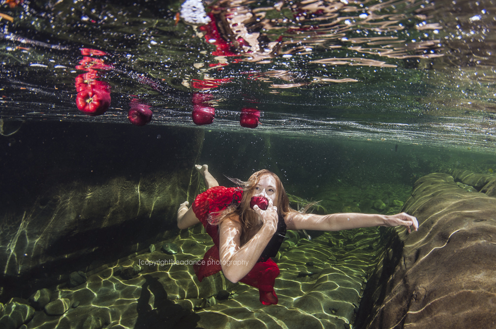 © Lisa Graham | Seadance Photography