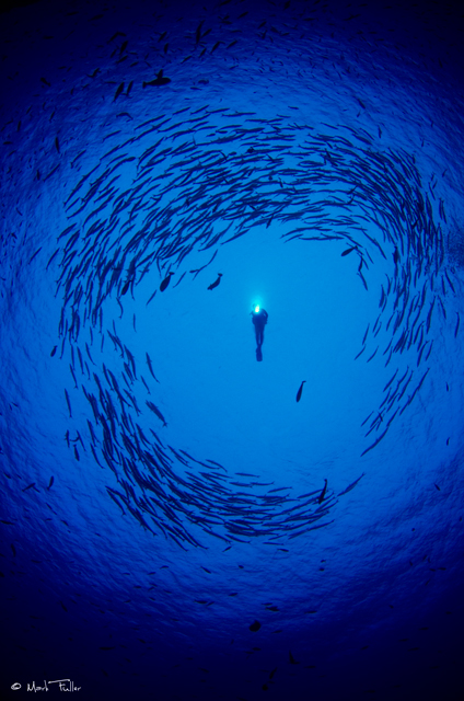 © Mark Fuller | Swirl