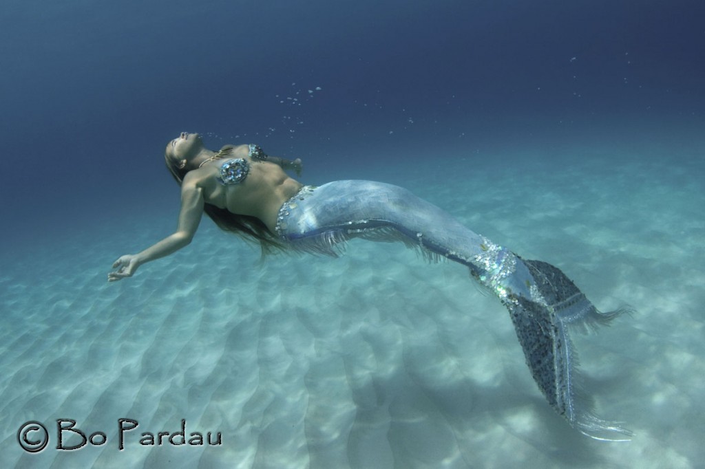 © Bo Pardau | Kona, Hawaii