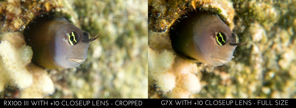 Sony RX100 III vs Canon G7X - RX100 III cropped to match G7X magnification