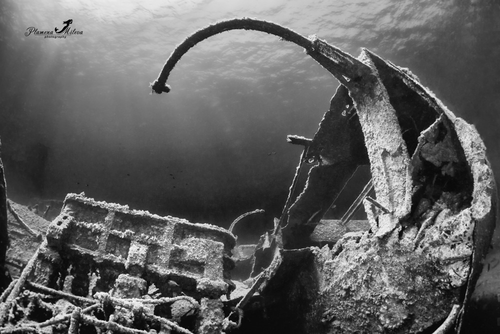 © Plamena Mileva | Condesito wreck The ship “Condesito” had the length of about 42 meters. It sank one Christmas Eve when colliding against the costal rocks near Punta Rasca, in the year 1975. This iron sunken ship is in a very dilapidated state but its peaces remain in bottom of the ocean becoming a sanctuary for sea life. 