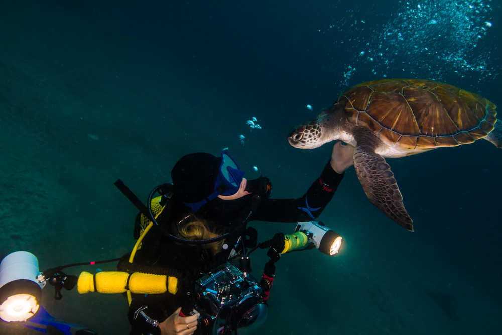 © Julien Nedev | Plamena with turtles and gear