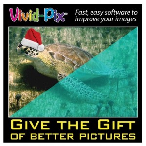 Give the Gift of Better Pictures - Santa Juan