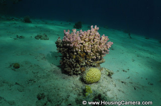Underwater Strobe Beam