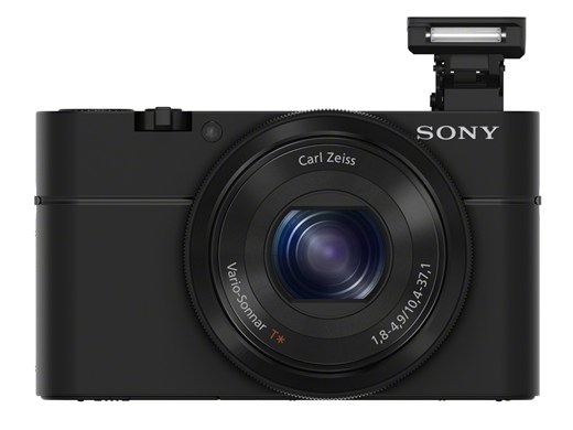 Sony DSC-RX100 Underwater