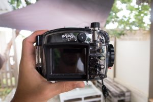 Fantasea FRX100 IV back