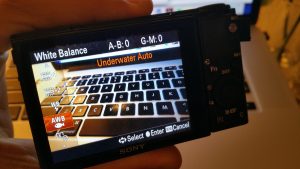 Sony RX100 IV Underwater Auto White Balance