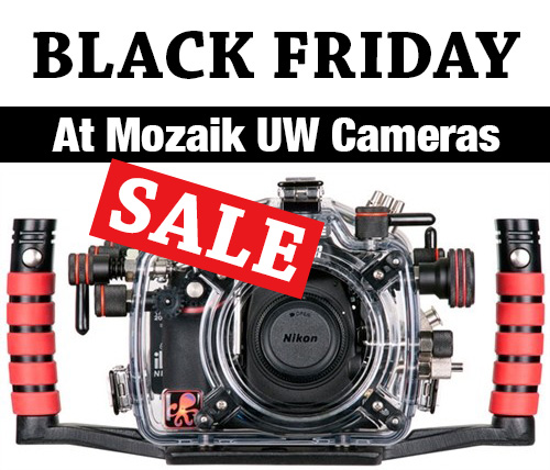 Black Friday Cyber Monday 2017 Underwater Photography Deals Mozaik Uw