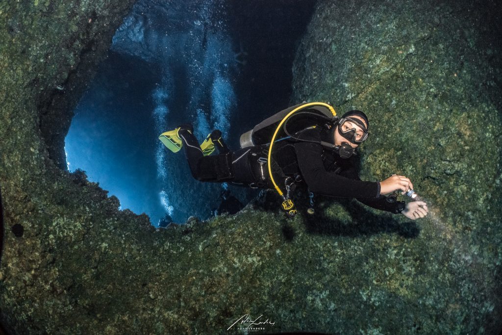 Dive Gear Guide for Underwater Photographers - BCD