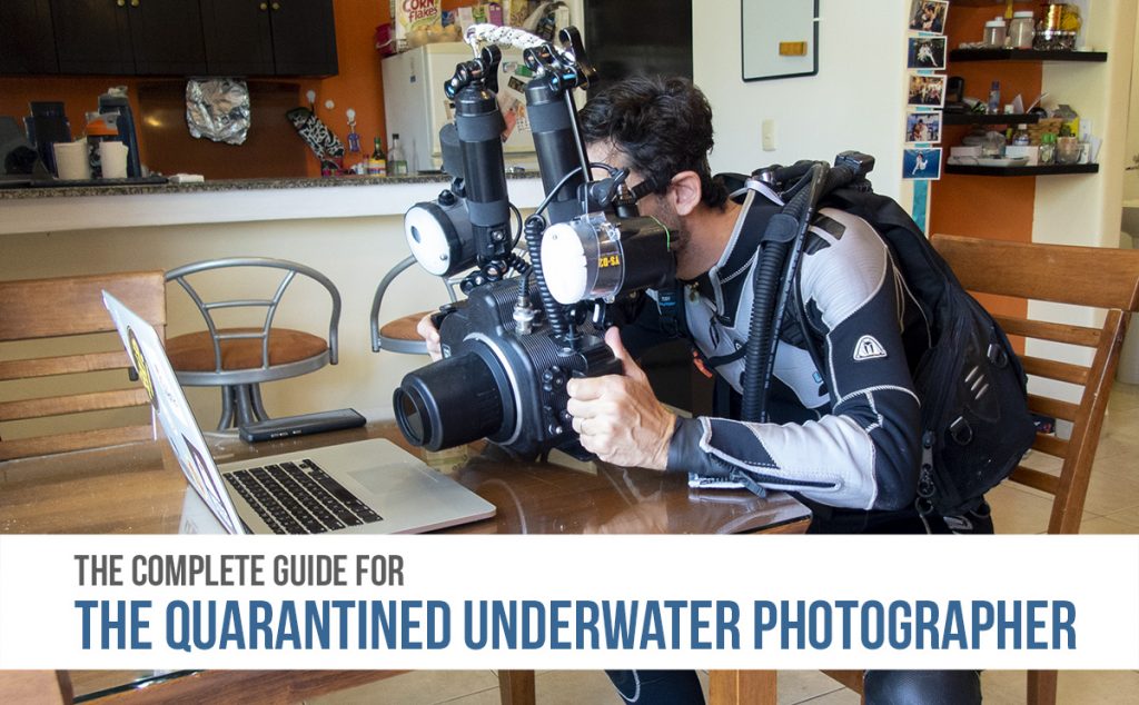 The quarantined underwater photographer