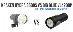 Kraken Hydra 3500s vs Big Blue VL4200p