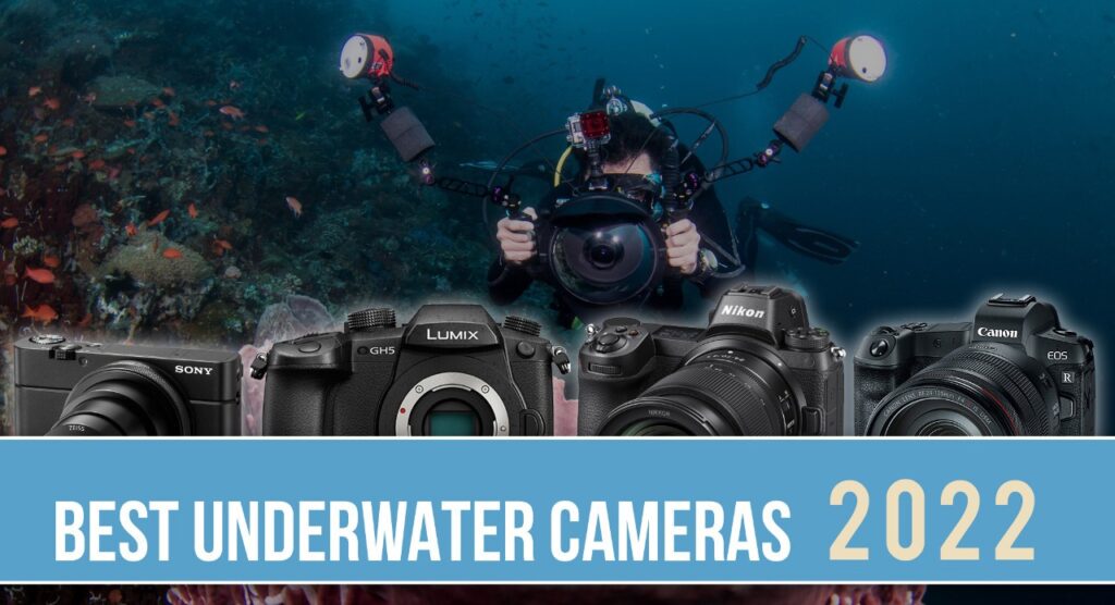 Best Underwater Cameras for 2022