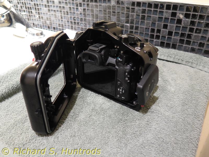 The Canon R50 inside the Nauticam housing