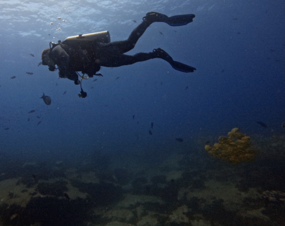 Scuba diver swimming above a rocky coral reef in Cabo Pulmo