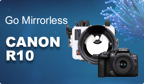 Canon R10 Underwater